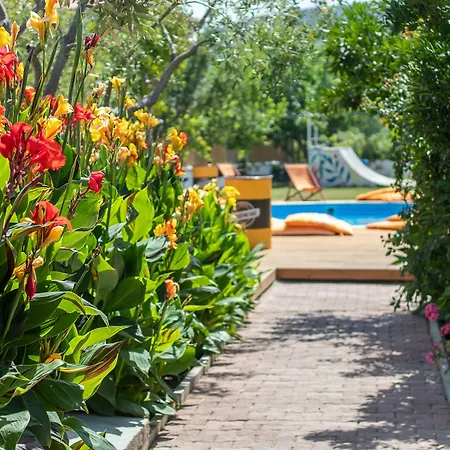 فندق Surf House أورلا